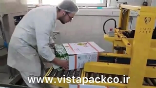 دستگاه چسب زن ویستاپک در شرکت برنا تجارت باور