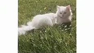 هر تایپ کی بهت اعتراف میکنه