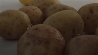 سیب‌زمینی شیرین یا زرد؟ کدوم بهتره؟