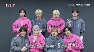 فن چنت DO IT از استری کیدز برای استی ها