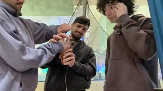 کی بیشتر گند میزنه تو پولاش؟