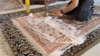 شستشوی فرش/ مبل شویی جاوید