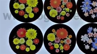 گوبو گلس فول اچ دی مخصوص لوگو پروژکتور تمام رنگ