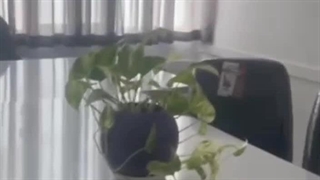 فضای کار اشتراکی ساری ( ارس )