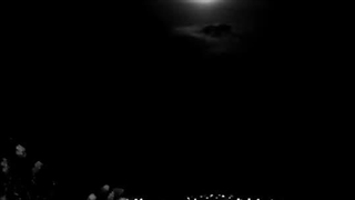 ادامه پارت پنجاه و یکم رمان THE EDICTION فصل دوم