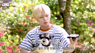 Wink Arcade 3_ FAMIL WING ep9  وینک آرکید فصل ۳ قسمت ۹ (وینک فمیلی پارت ۱) با حضور پارک جیهون با زیرنویس فارسی