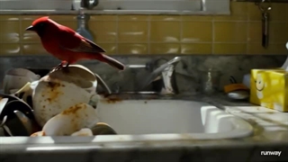 مدل ویدیوساز Runway Gen-4.5 معرفی شد