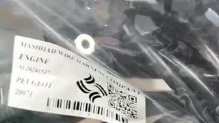 ویدئو معرفی سیم کشی پژو ۴۰۵ مدل ۸۱ | سایت پژو ایمان