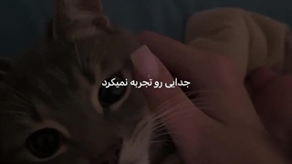 شیشه فروش یا معتمدیان؟