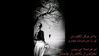 بانو الهه - به تو هرگز نگفتم من / Elahe - Be To Hargez Nagoftam Man