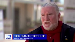 بعد از تزریق یک ماده ناشناخته به دنیا، حالا متوجه شدند که سیر می تواند کووید 19 را درمان کند