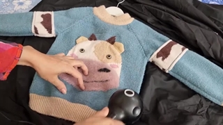 پرزگیر برقی لباس