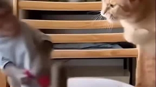 وقتی پسرت این 