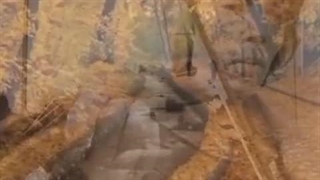 تکنوازی ویولن دل یار سارا نائینی