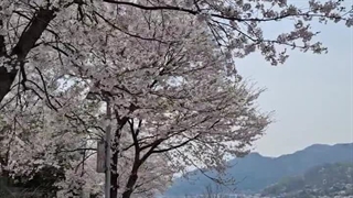 ♡☆پینترستی☆♡ (پارت 2)