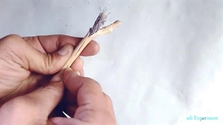 سیم نیکروم