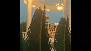 باغ سالن عقد آذین گیلان در فومن