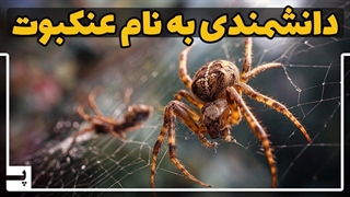 تار عنکبوت، این ماده قوی‌تر از فولاد و هوشمند چطور کار می کند؟