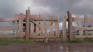 جوجه اردک زشت | داستان دگرگونی