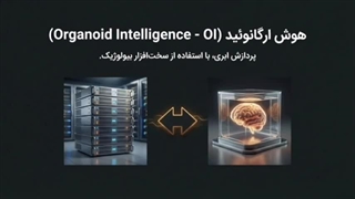 پروژه_مغزهای_اجاره‌ای