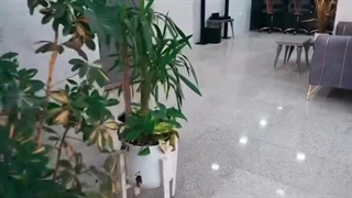 سالن زیبایی بانوی هنر بوشهر