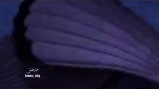 وقتی به الکس بگن چرا اینقدر عاشق رزی :