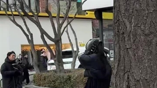 جنی در منطقه شینسادونگ کره دیده شد