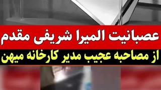 طعنه سنگین المیرا شریفی‌مقدم به مدیر میهن بابت گرانی‌ها در تلویزیون!