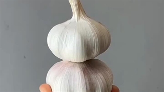 کاردستی آدم برفی با سیر