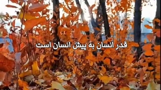 سینه ام آهی بی اثر دارد - دیده ام لخته ای جگر دارد  احمد محمود امپراطور