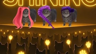 آهنگ GOLDEN هانتریکس ورژن گربه