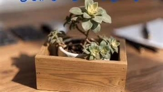 فلاور باکس ترموود- ساخت گلدان ترموود-0918951514-باکس چوبی ترموودhttps://cheraghikala.ir - ساختن روف گاردن لاکچری فلاورباکس