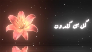 منم ازینا(⌒‐⌒)