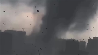 Do whatever you want