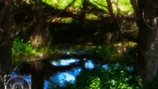 < بیاید بعد از چند روز حرف بزنیم >