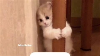 چرا؟ همه چی پره؟