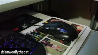 هیچ کس بر دیگری برتری ندارد مگر بر جق