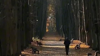 بعد از تو من هر شب