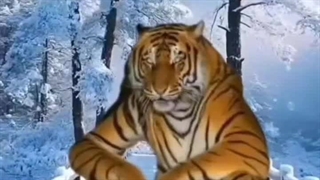 وای نت نداریمم دارم میمیرم