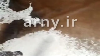 پوست گاو سیستانی