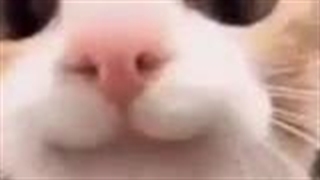 بیاید حرف بزنیم!