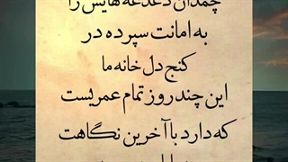 چمدان دغدغه هایش را