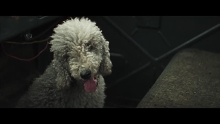 فیلم سینمایی سیسو: جاده انتقام با دوبله فارسی