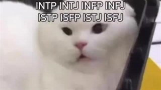 MBTI