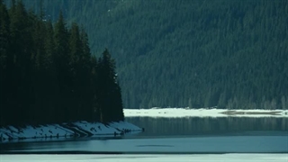 این فیلم هم هیجانیه هم دوس داشتنی : Top Gun Maverick 2022