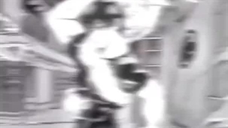 منم مدیر عامل نماشا رو دارم