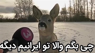 چی بگم شما بگید