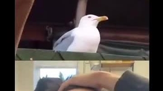 ارن وقتی میبینی میکاسا با یه مرد دیگه میره سر قرار