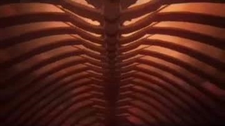 میدونستن اینو یجایی دیدن