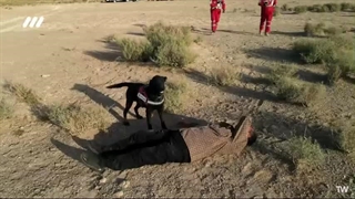 سگ های زنده یاب هلال احمر